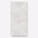 Sepanta Gray 60x120cm